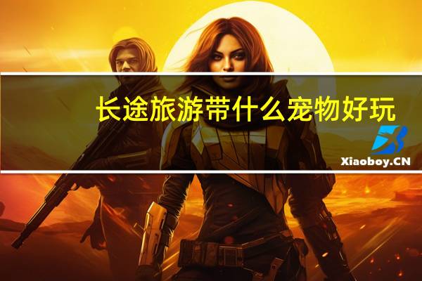长途旅游带什么宠物好玩