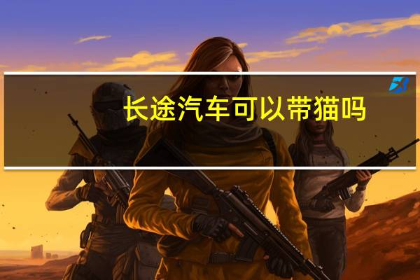 长途汽车可以带猫吗