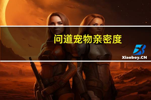 问道宠物亲密度