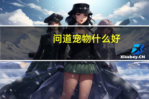 问道宠物什么好