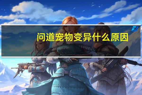 问道宠物变异什么原因