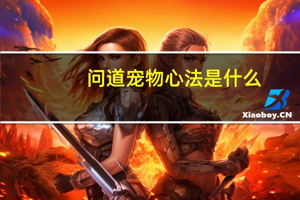 问道宠物心法是什么
