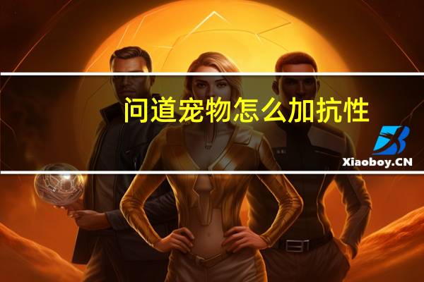 问道宠物怎么加抗性