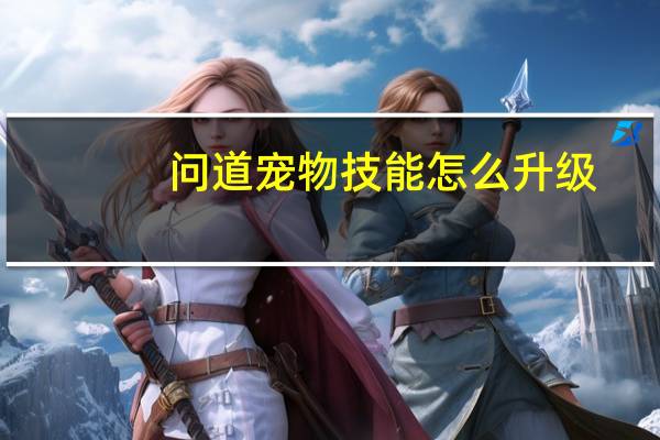 问道宠物技能怎么升级