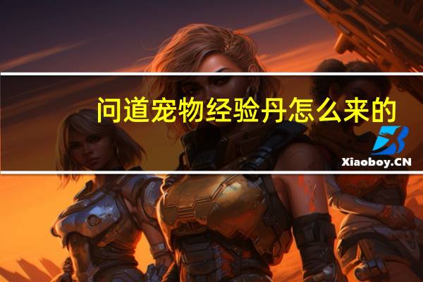 问道宠物经验丹怎么来的
