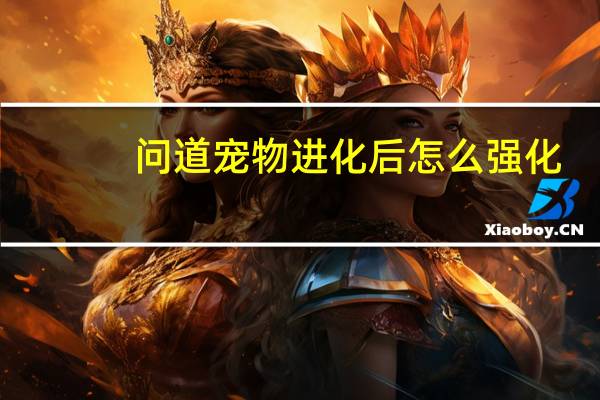 问道宠物进化后怎么强化
