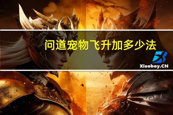 问道宠物飞升加多少法
