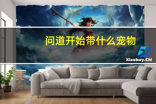 问道开始带什么宠物
