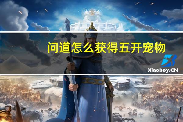 问道怎么获得五开宠物