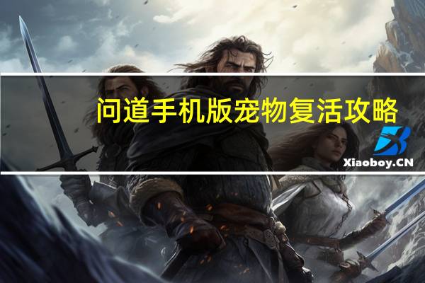 问道手机版宠物复活攻略