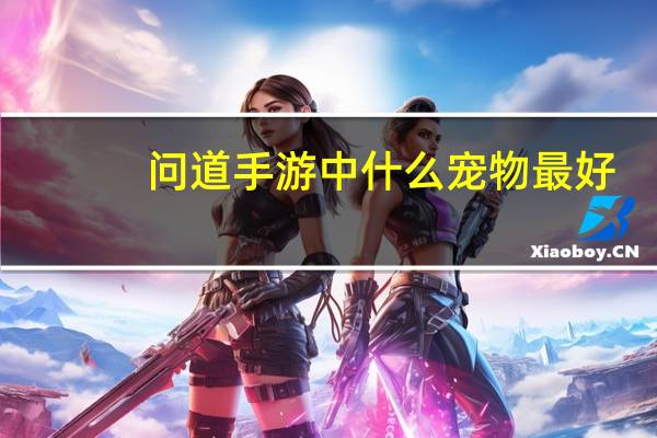 问道手游中什么宠物最好