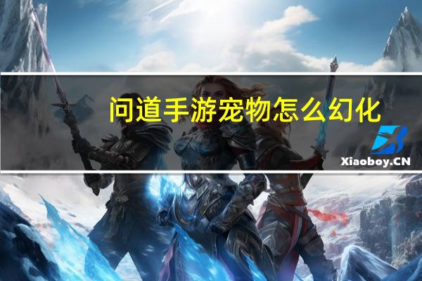 问道手游宠物怎么幻化