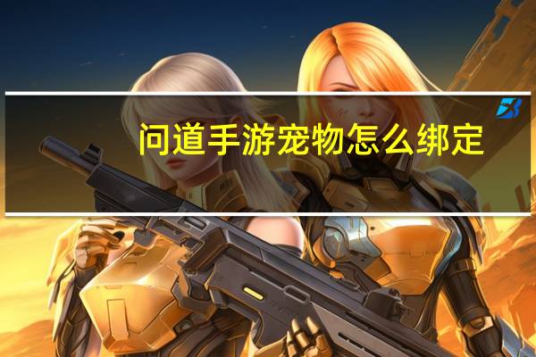 问道手游宠物怎么绑定