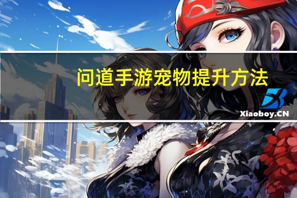 问道手游宠物提升方法
