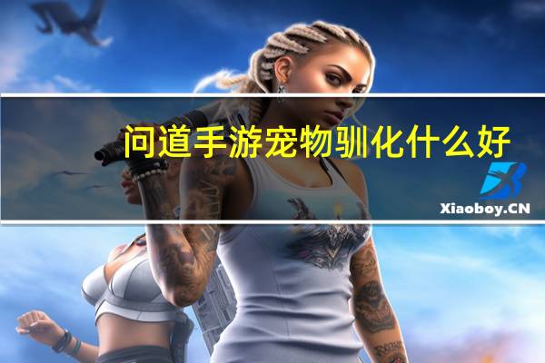 问道手游宠物驯化什么好
