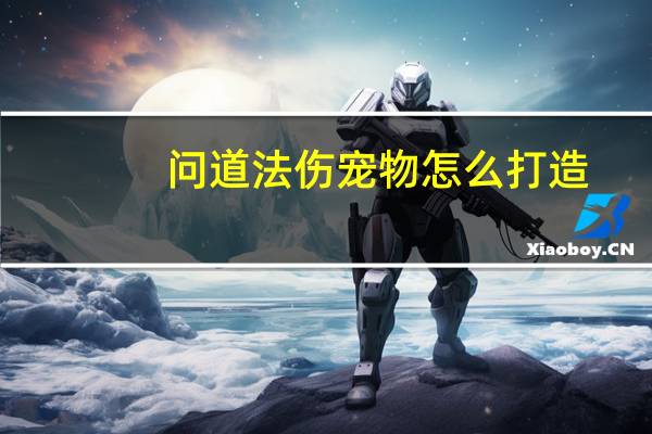 问道法伤宠物怎么打造