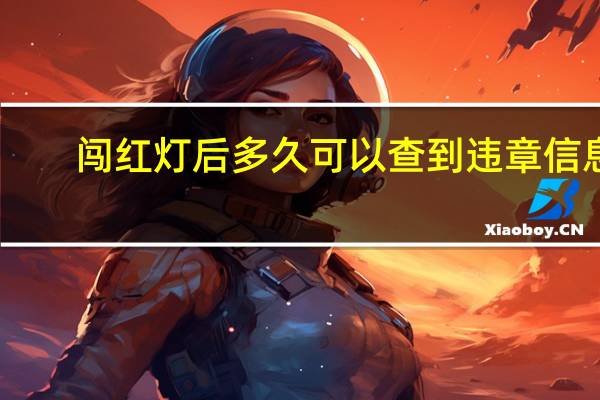 闯红灯后多久可以查到违章信息