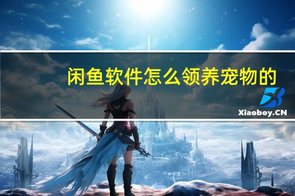 闲鱼软件怎么领养宠物的