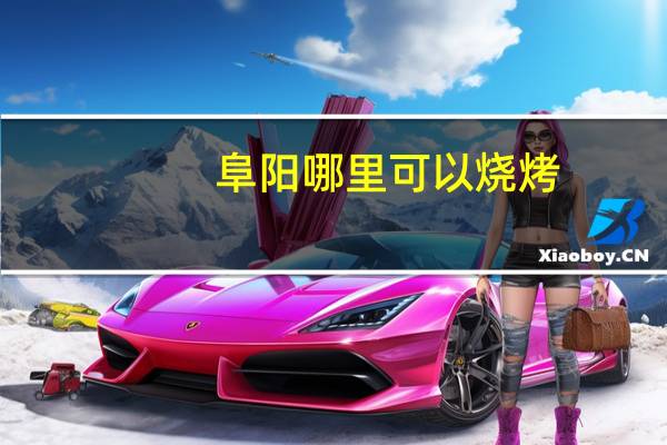 阜阳哪里可以烧烤