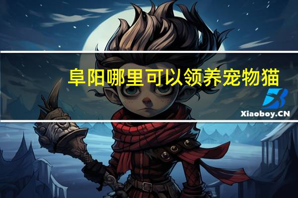 阜阳哪里可以领养宠物猫