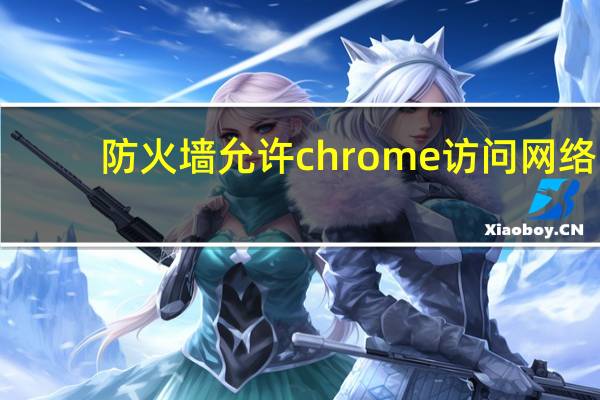 防火墙允许chrome访问网络