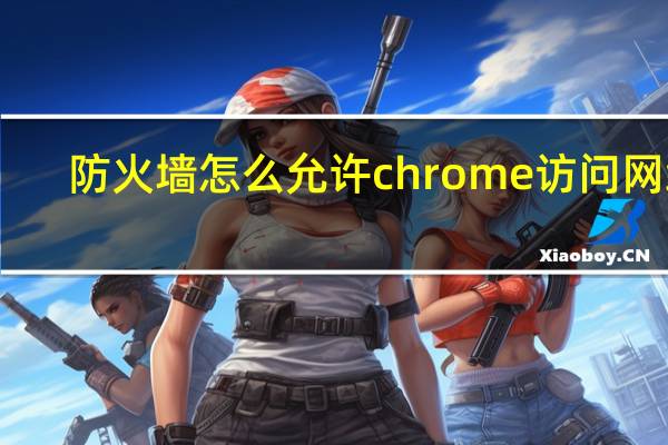 防火墙怎么允许chrome访问网络