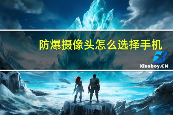 防爆摄像头怎么选择手机