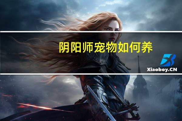 阴阳师宠物如何养