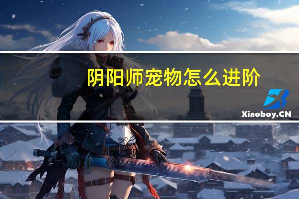 阴阳师宠物怎么进阶