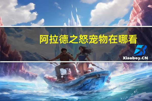阿拉德之怒宠物在哪看