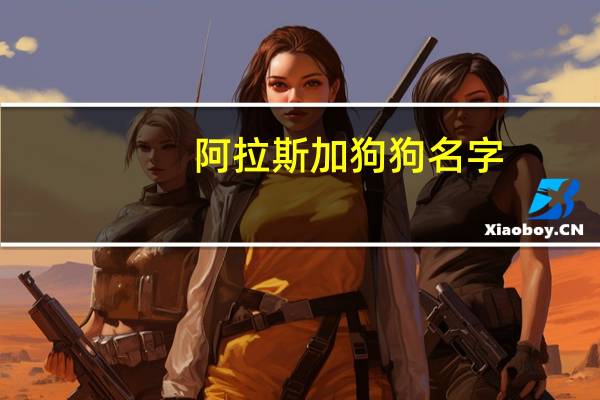 阿拉斯加狗狗名字