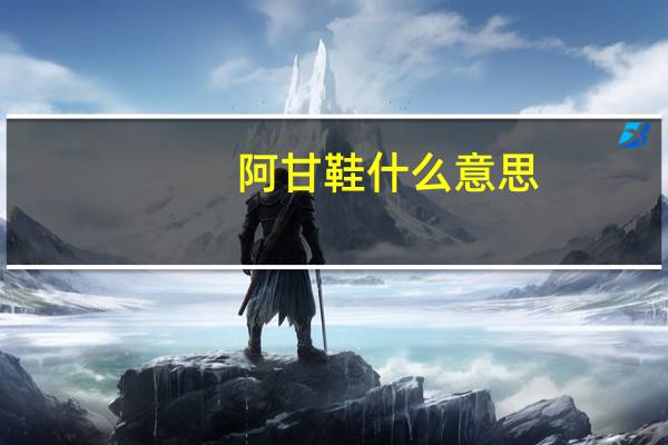 阿甘鞋什么意思