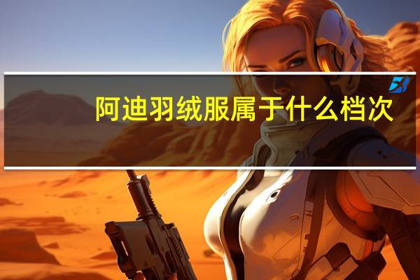 阿迪羽绒服属于什么档次