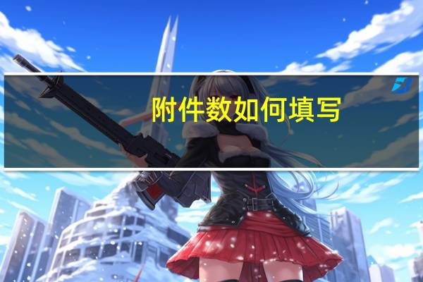 附件数如何填写