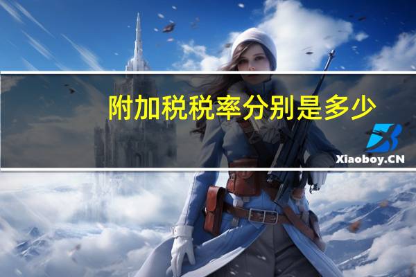 附加税税率分别是多少