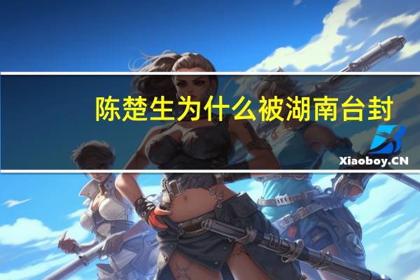 陈楚生为什么被湖南台封