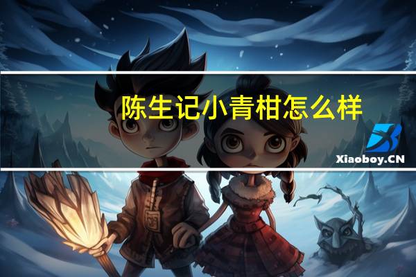 陈生记小青柑怎么样