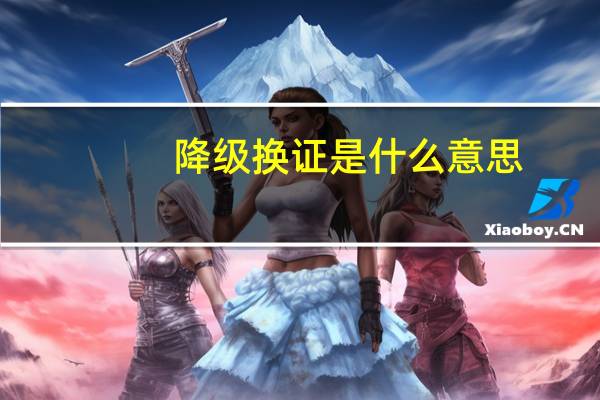 降级换证是什么意思
