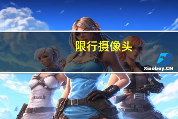 限行摄像头。