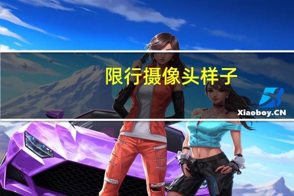 限行摄像头样子