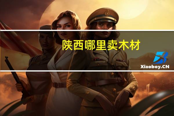 陕西哪里卖木材