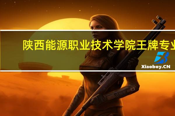 陕西能源职业技术学院王牌专业