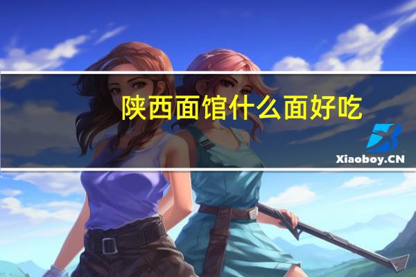 陕西面馆什么面好吃