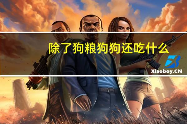 除了狗粮狗狗还吃什么