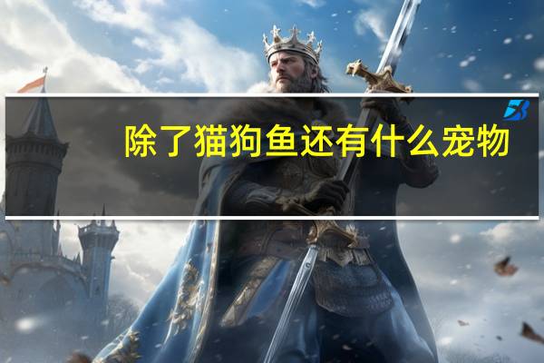 除了猫狗鱼还有什么宠物
