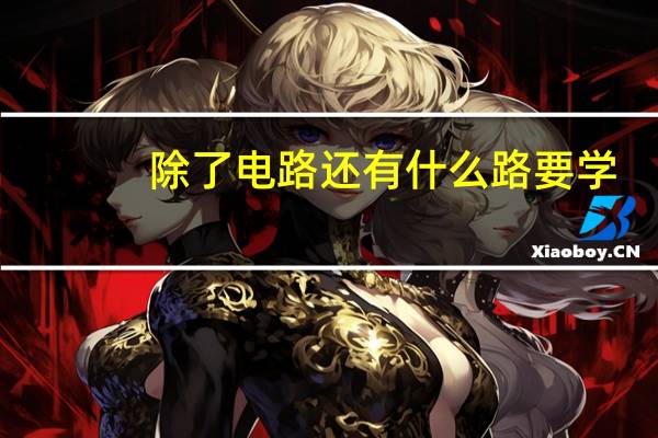 除了电路还有什么路要学