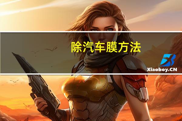 除汽车膜方法