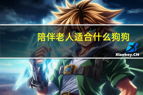 陪伴老人适合什么狗狗