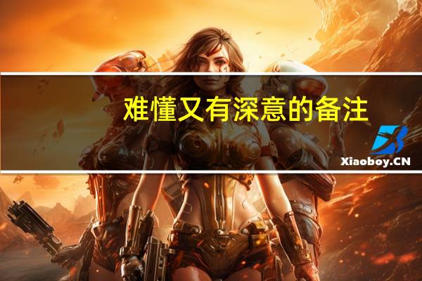 难懂又有深意的备注