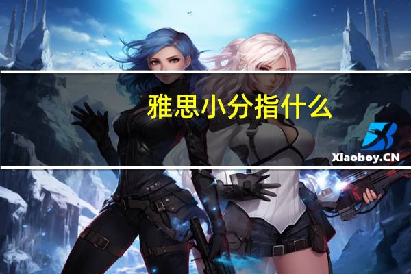 雅思小分指什么